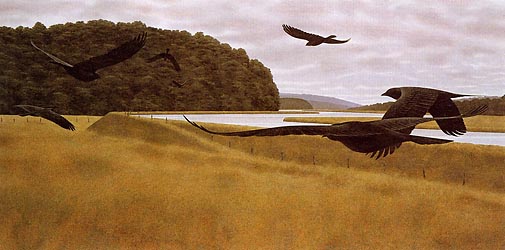 Seven Crows, 1980