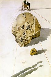 Rocks, 1951