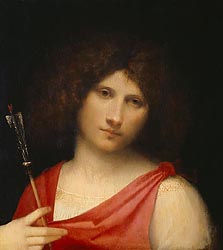 Young Man with Arrow, c1505