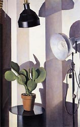 Cactus 1931