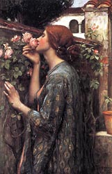 The Soul of the Rose, 1908